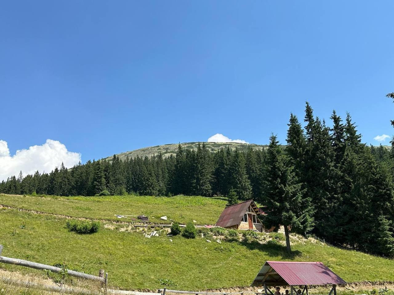 Panorama * Буковель